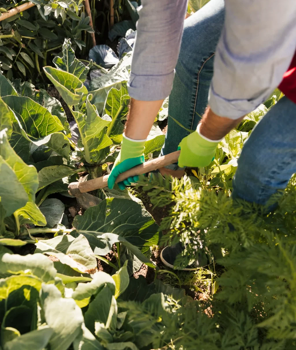 un-jardinero-de-sexo-masculino-que-cultiva-las-plantas-en-el-jardin_11zon_11zon-1