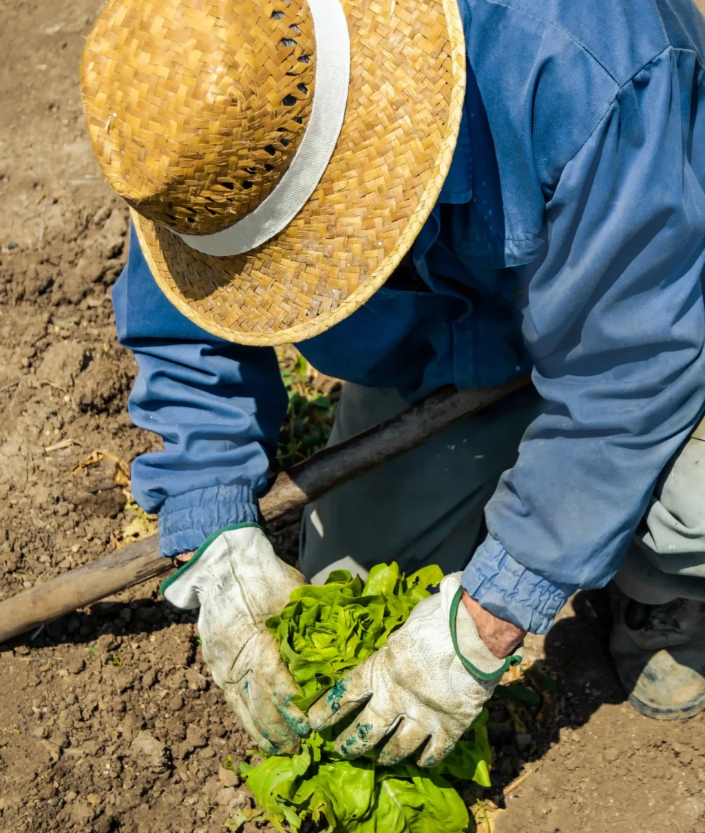 vista-en-angulo-alto-del-hombre-trabajando-en-el-campo_11zon_11zon